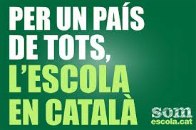 somescolamani10D