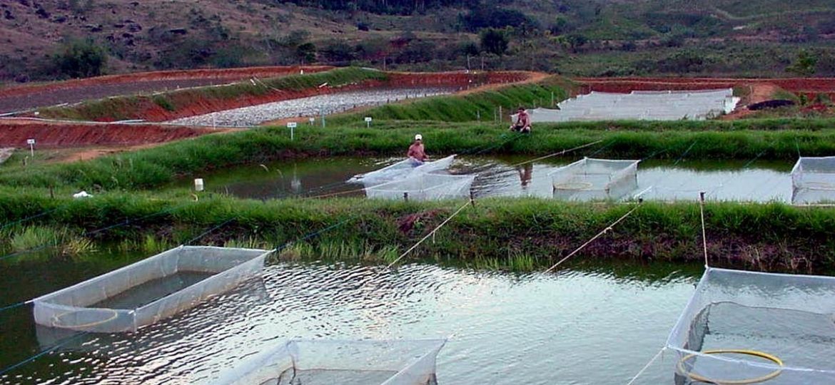 acuicultura