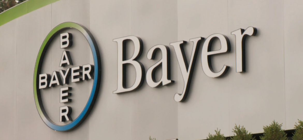 bayer