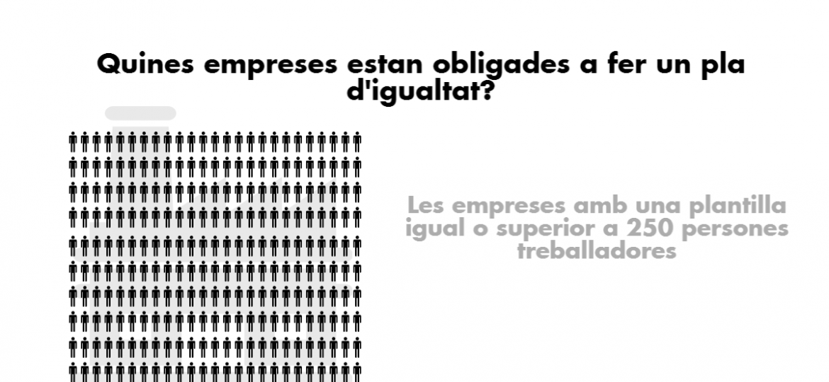 10-anys-llei-igualtat