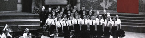 nazis_coberta_baixa