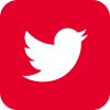 boton_twitter_2022