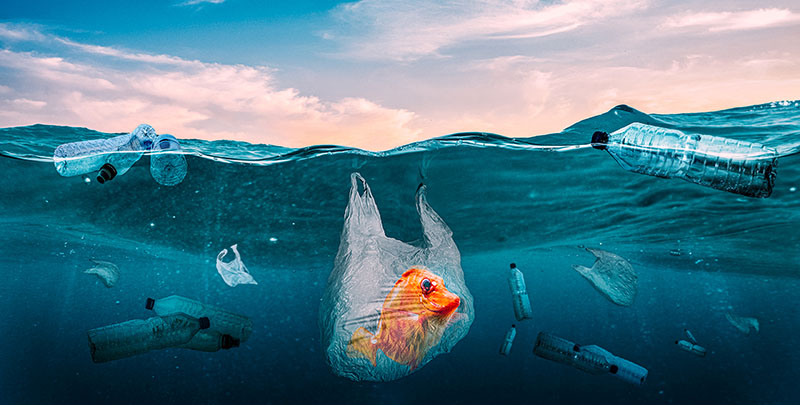 Plastics in the seas. Global Problem