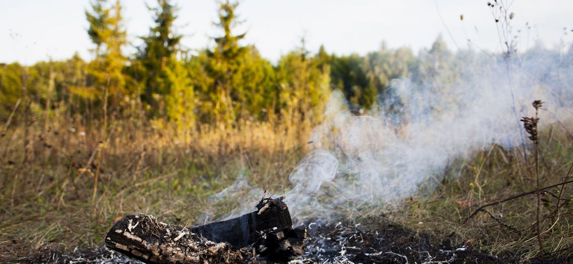 incendis_foretals_v2