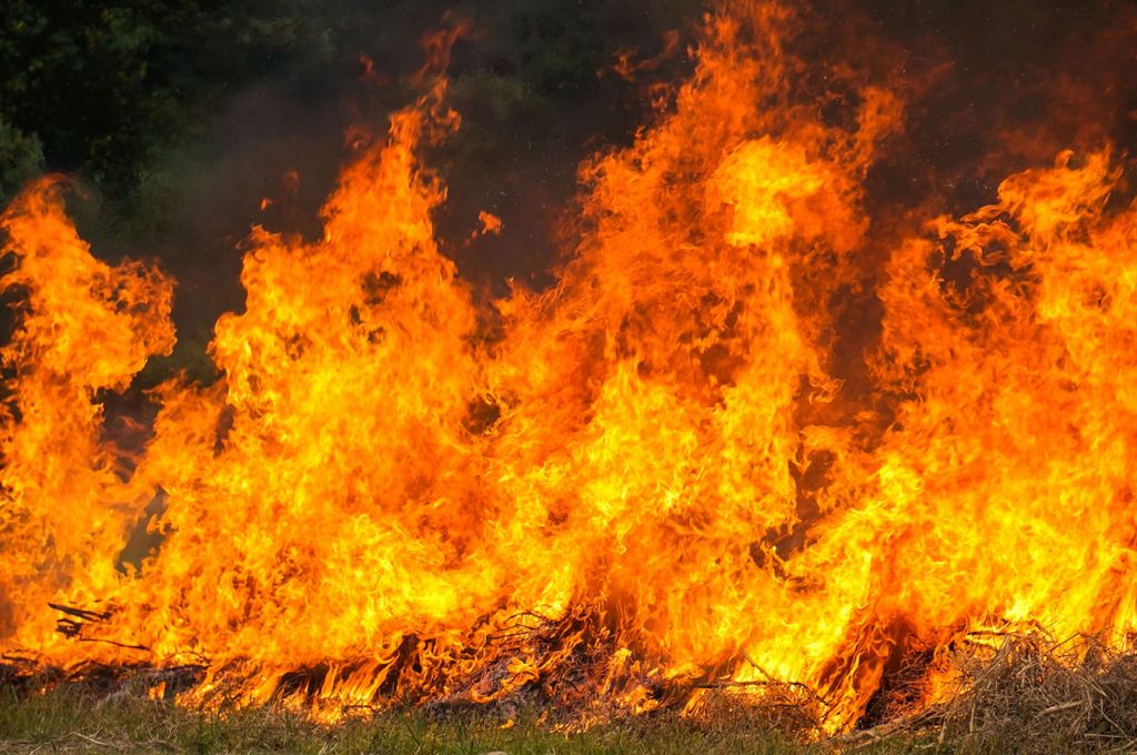 Apagar els incendis forestals, ara