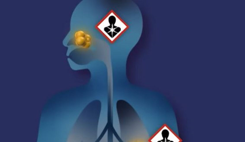 cancer_laboral_v2b