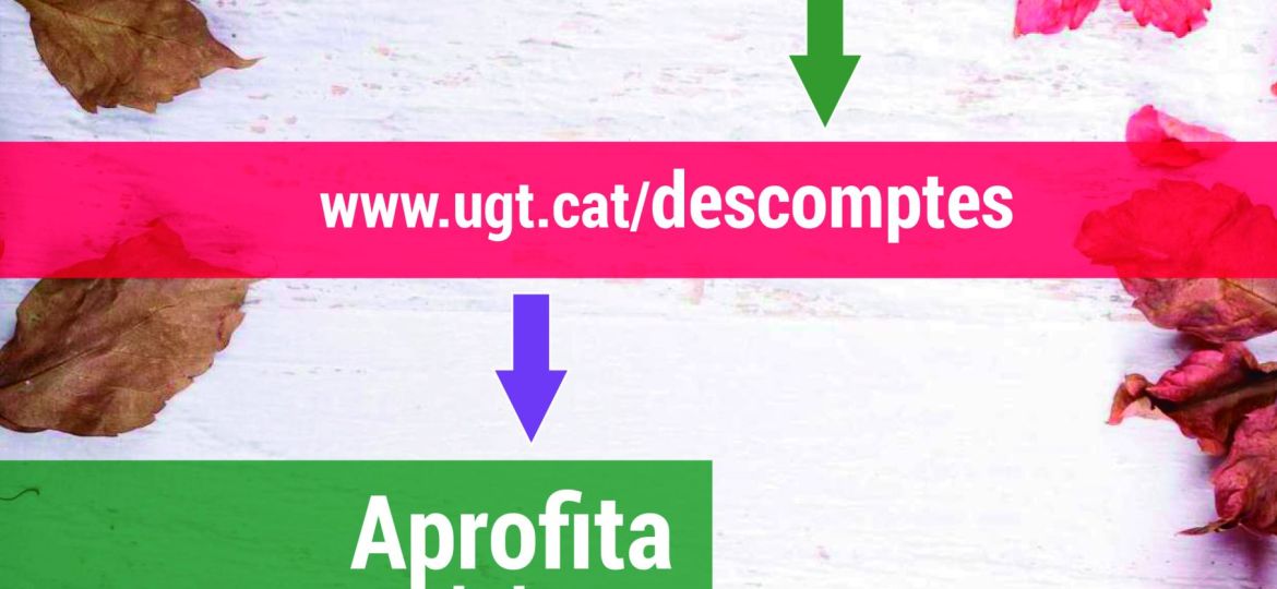 infoserveis_027_2022_web
