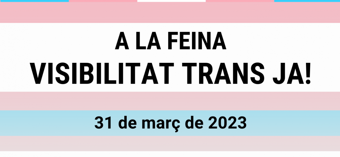 Dia Visibilitat Trans 31 març 2023 - Cartell A3