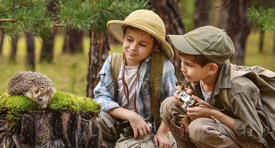 small_explorers_in_forest_v2
