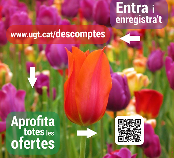 infoserveis_028_2023_web-2