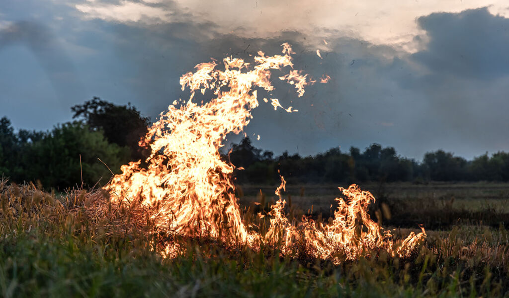 Dia Mundial de la Prevenció d'Incendis Forestals 2023