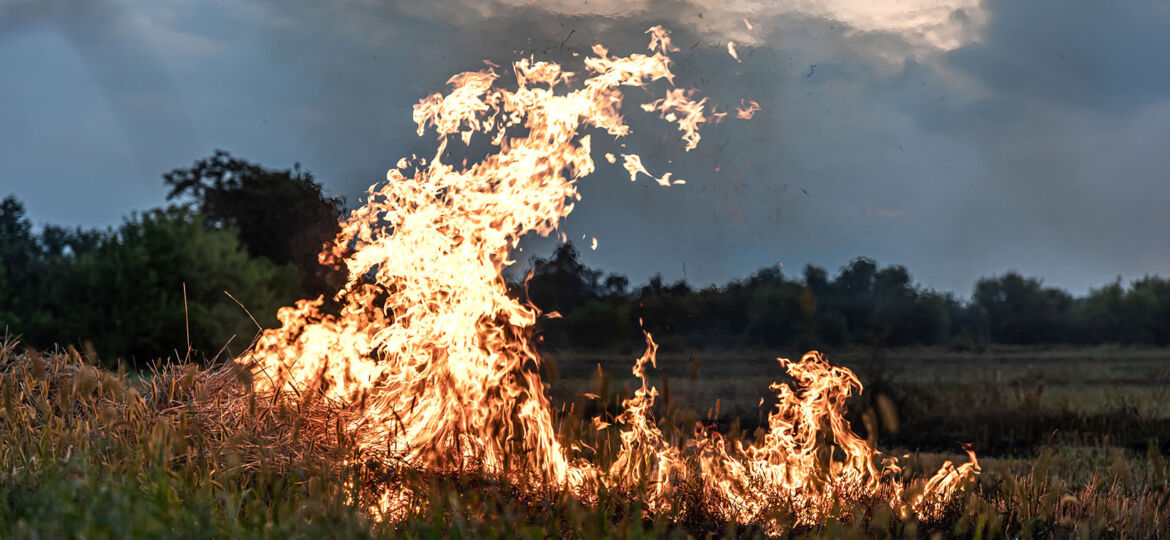 A fire burns in a field with dry grass.