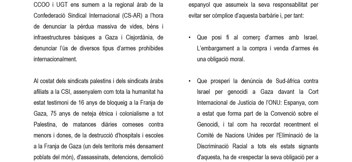 manifest_conjunt_mani_llibertat_palestina_7f_2024_v2