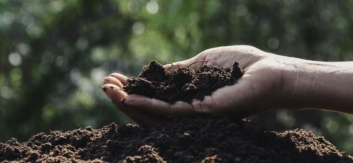 Hand holding soil in the hands for planting with copy space for