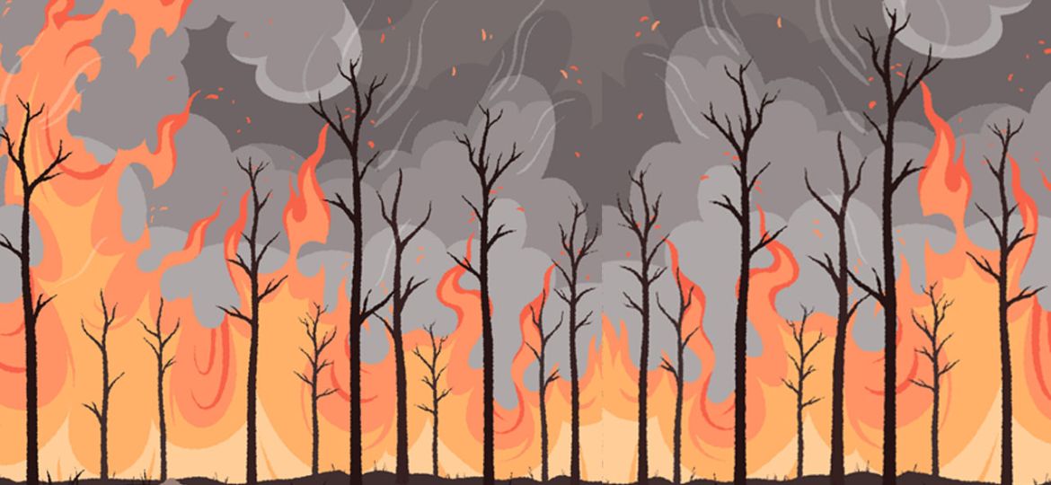 il_lustracio_incendis
