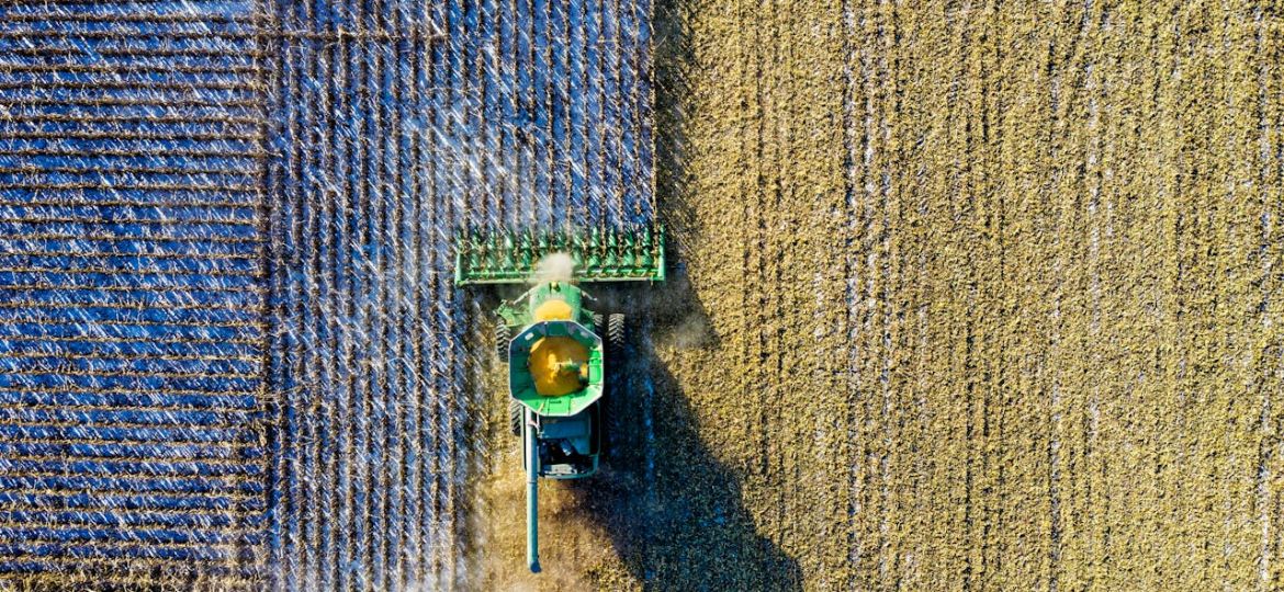 diamundialagricultura