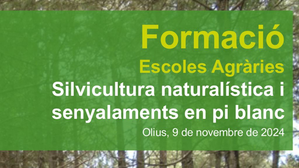 Formació del projecte Life eCOadapt50: Silvicultura naturalística i senyalaments en pi blanc