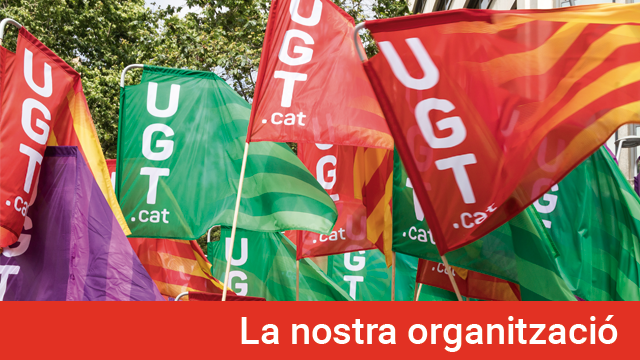 banner_coneixe_ns_organitzacio_nou