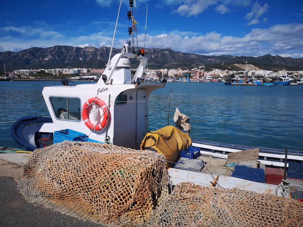Webinar del projecte Life Ecoadapt50:  “Què passa amb la pesca? situació actual i objectius futurs envers l’arrossegament en el mediterrani”