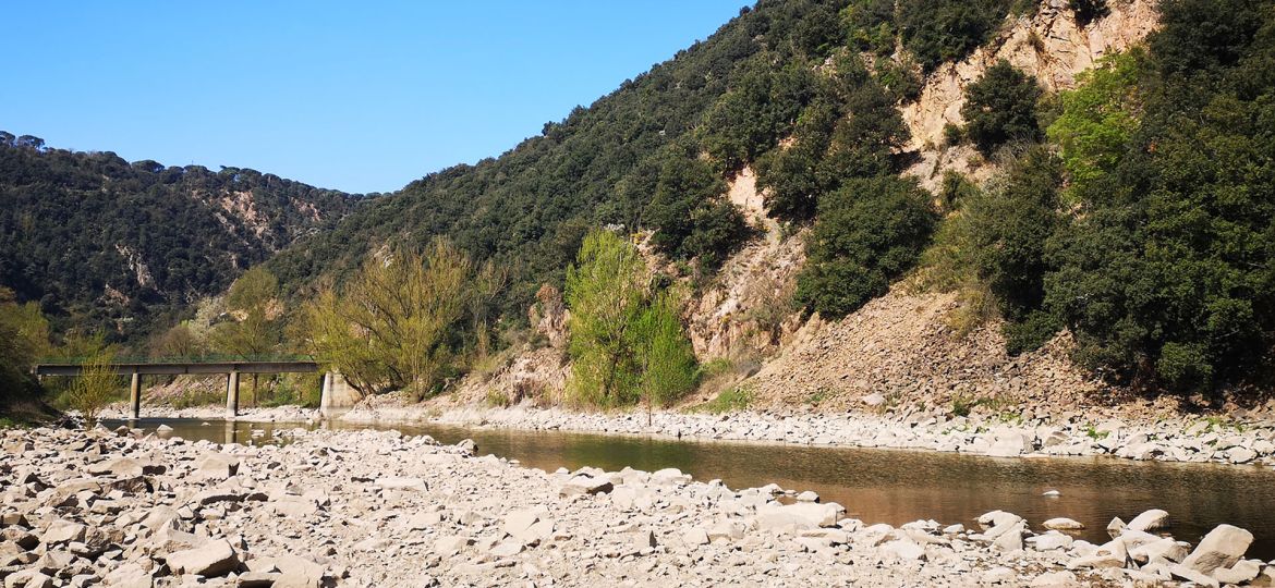 2025_dia_mundial_lluita_desertificacio_i_sequera