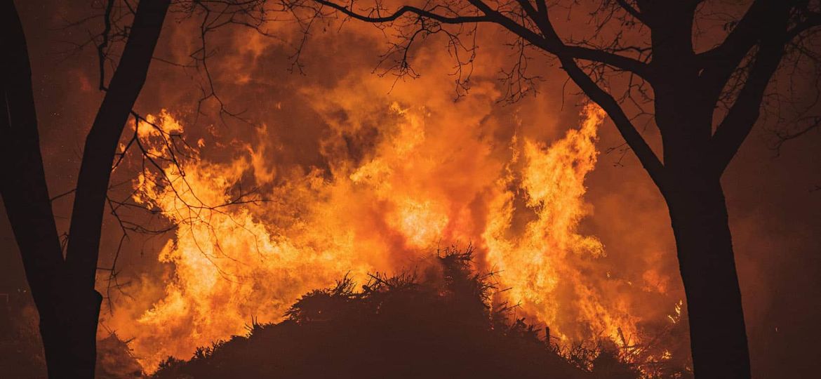 Intense flames from a massive forest fire. Flames light up the night