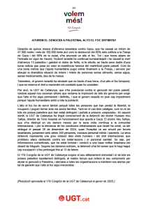17e_congres_ugtcat_resolucio_aturem_genocidi_palestina_2025_imatge