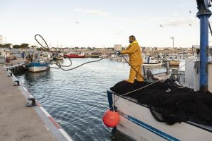 Dia mundial de la pesca 2025