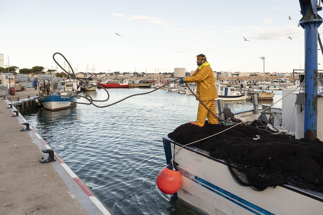 dia_mundial_pesca_2025_v2
