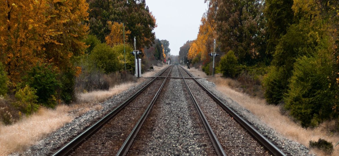 vies del tren