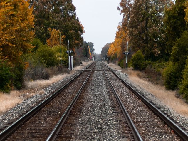 vies del tren