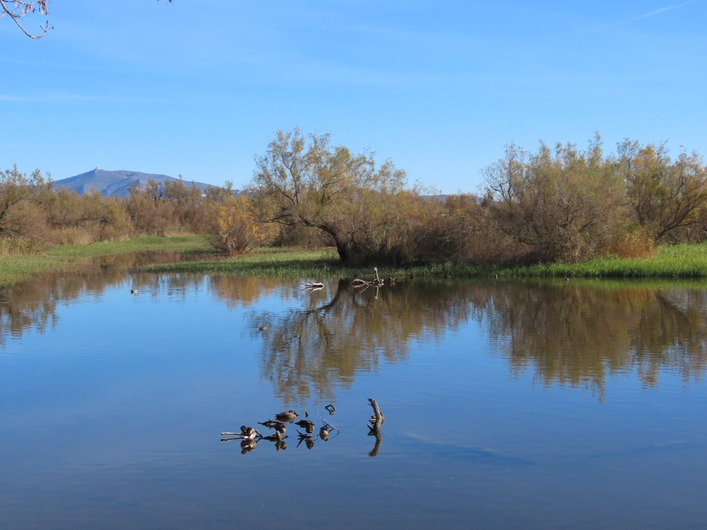 aiguamolls_Emporda