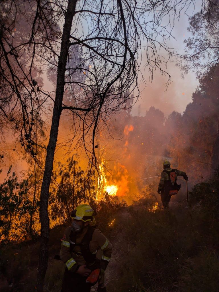 La UGT de Catalunya reclama reforçar la prevenció dels incendis forestals amb més gestió, recursos i ocupació de qualitat