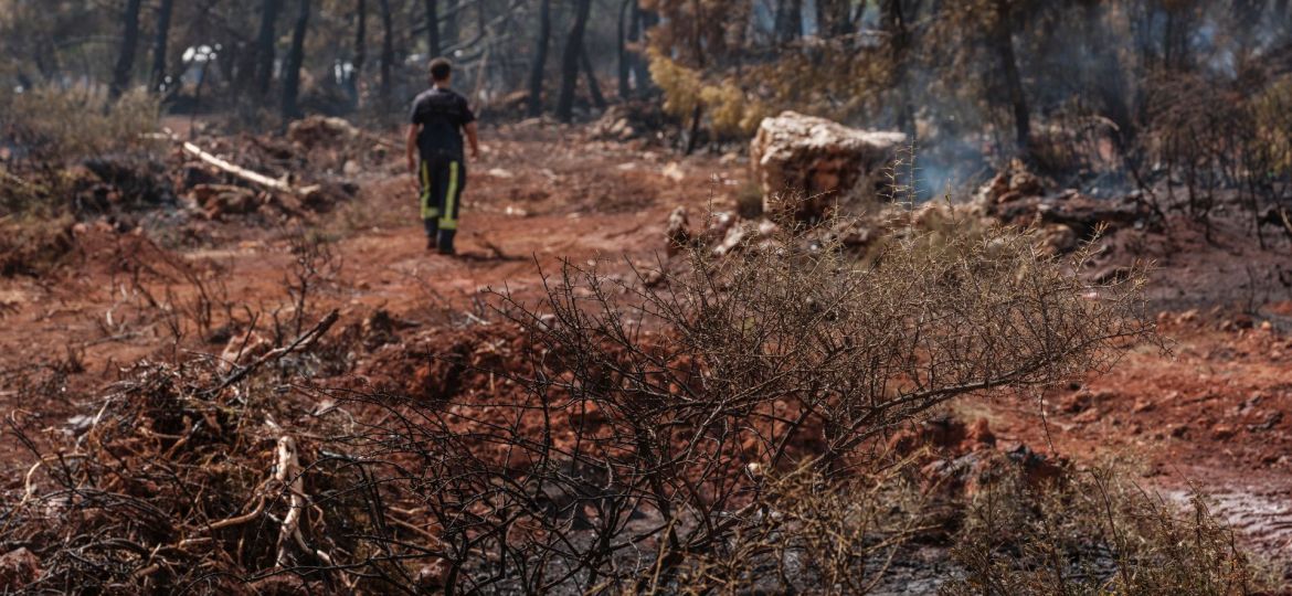 lifeeco_incendisforestals