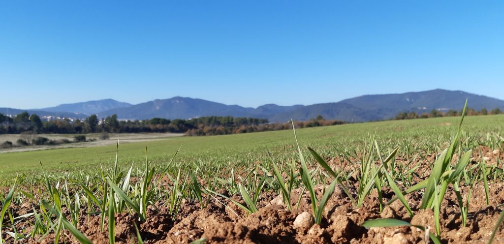 Dia Mundial de l'Agricultura 2026