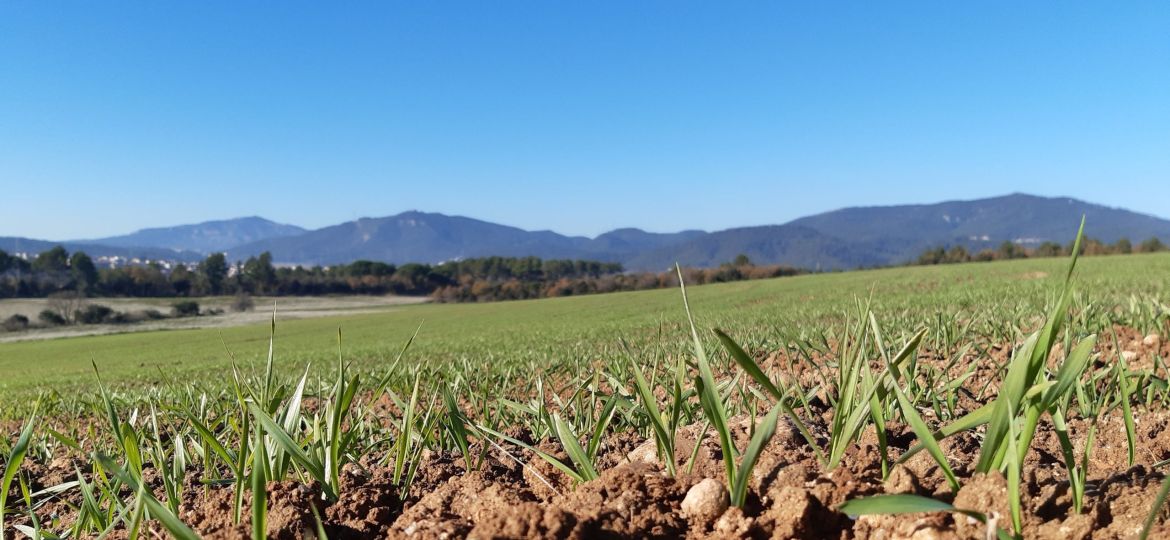 dia_agricultura