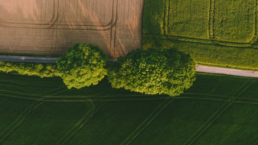 La UGT Serveis Públics trasllada al conseller d’Agricultura el malestar del professorat de les Escoles Agràries i exigeix una solució a la seva precarització